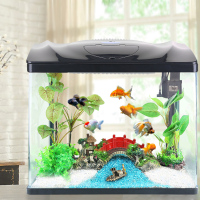 茉寫與米妮寵物日用 為愛寵打造理想的水族家園